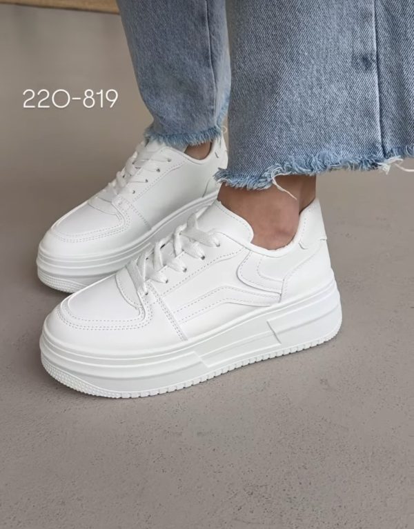 220-819